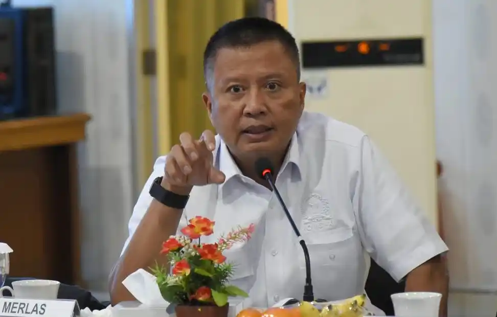 Anggota Komisi XI DPR RI dari Fraksi PKB, Bertu Merlas. (Dok. MI)