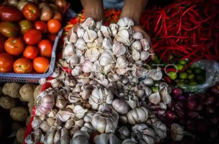 Bawang putih dan pangan lainnya (Foto: Istimewa)