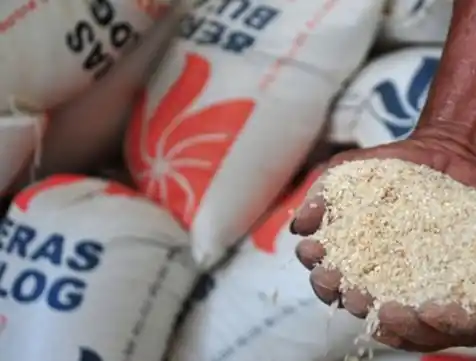 Ilustrasi - Beras Bulog (Foto: Istimewa)