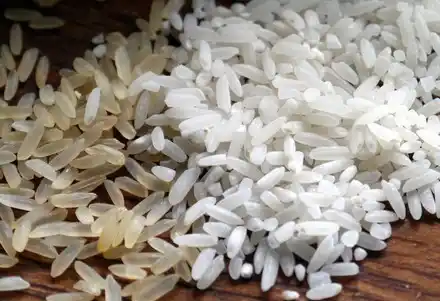 Beras Oplosan (Foto: Ist)