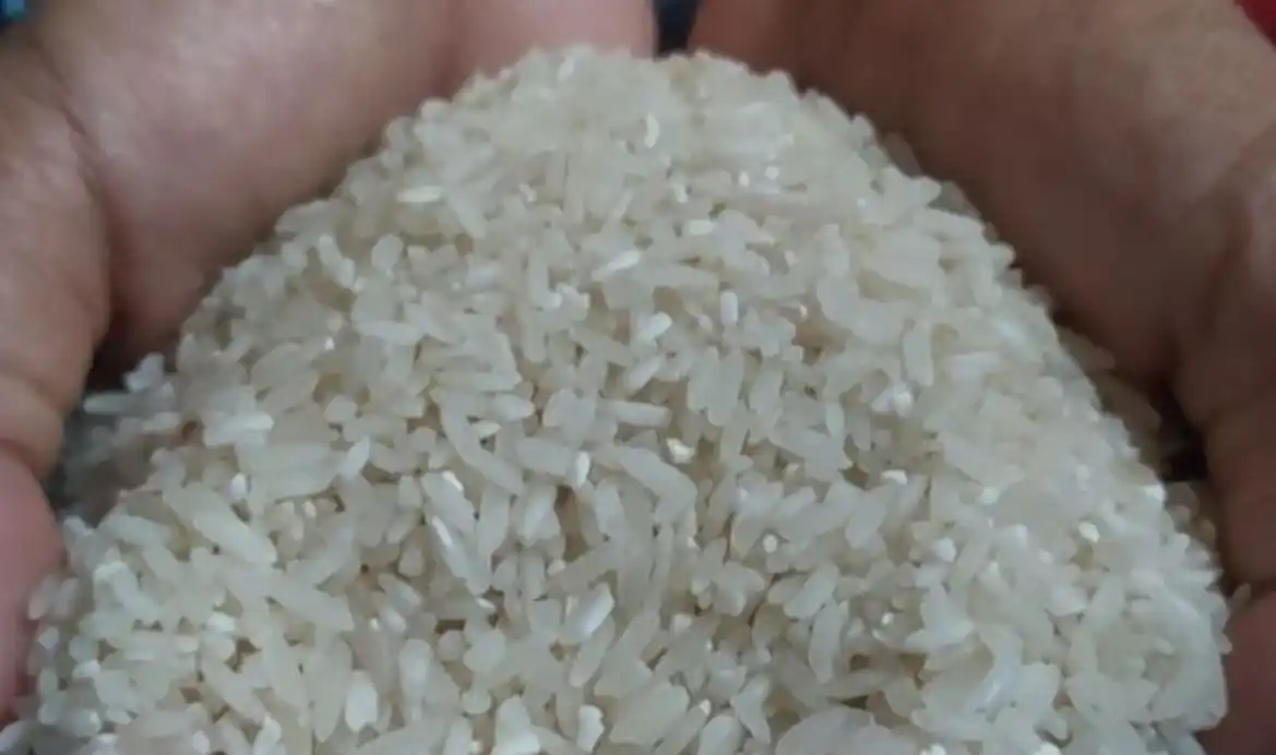 Ilustrasi - Beras (Foto: Istimewa)