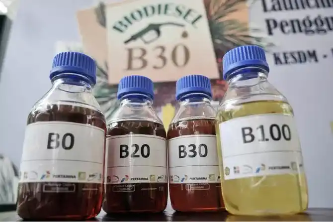 BIodiesel (Foto: Ist)