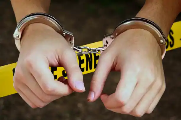 Ilkustrasi Penangkapan