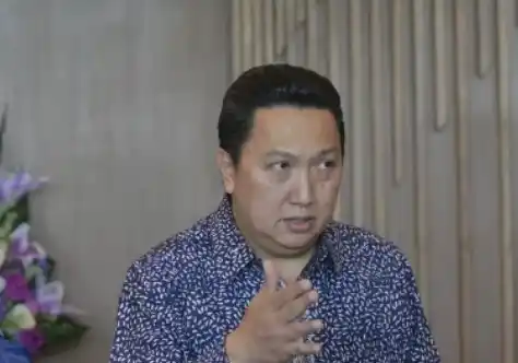 Boy Thohir diangkat sebagai Wakil Presiden Komisaris ADRO (Foto: Ist)