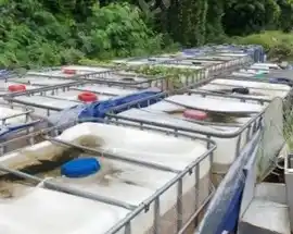 Persediaan BBM HVO di lahan Asahimas (Foto: Dok MI/BPK)