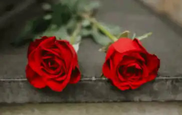 Ilustrasi [Foto: Ist]