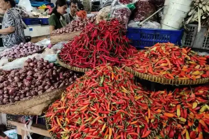 Cabai Rawit Merah (Foto: Ist)