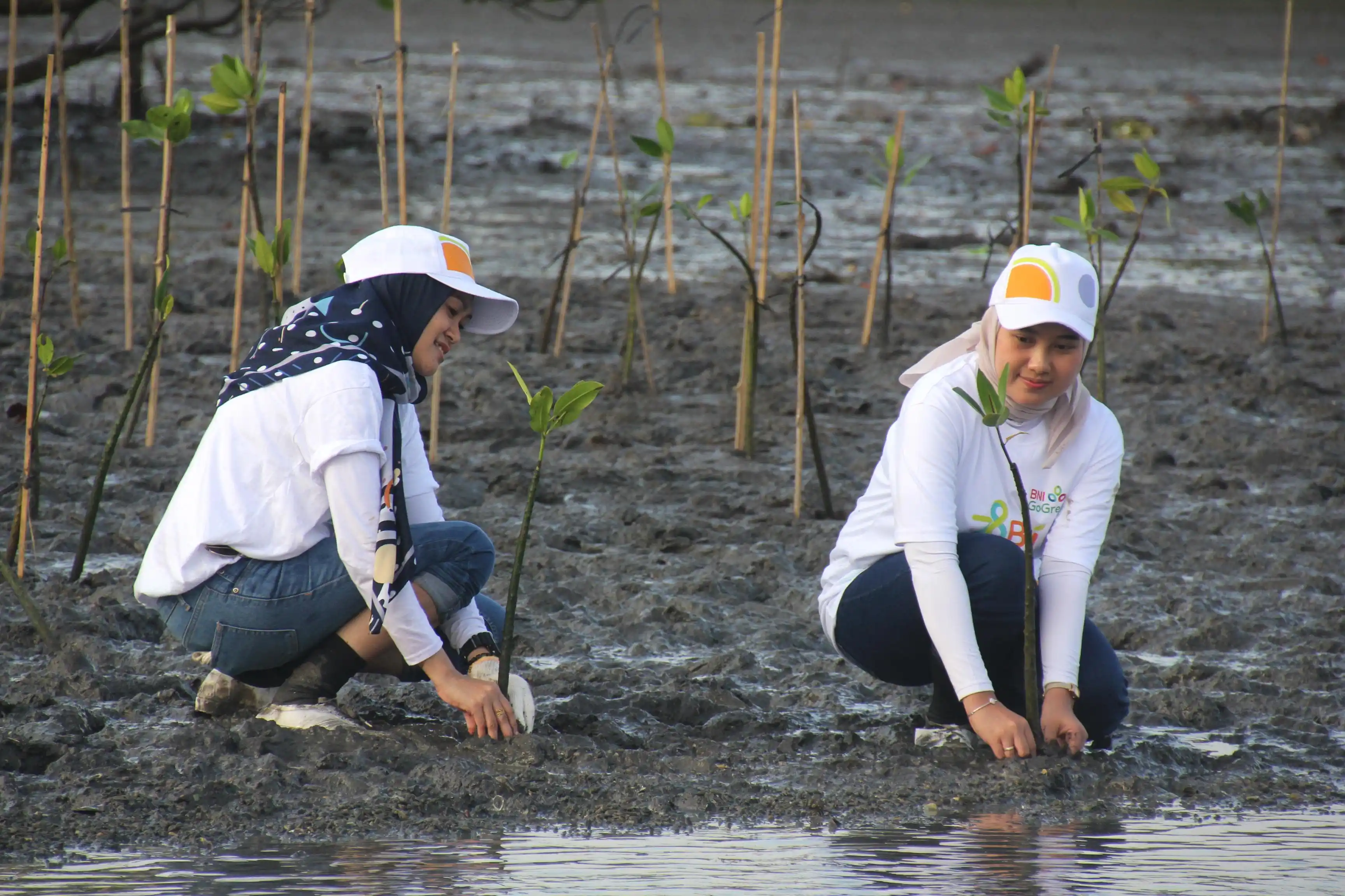 PT Bank Negara Indonesia (Persero) Tbk atau BNI terus memperkuat komitmennya terhadap pelestarian lingkungan dan mitigasi perubahan iklim melalui aksi nyata konservasi hutan mangrove, sejalan dengan semangat global memperingati Hari Mangrove Sedunia yang jatuh setiap 26 Juli. (Foto: Dok MI/BNI)