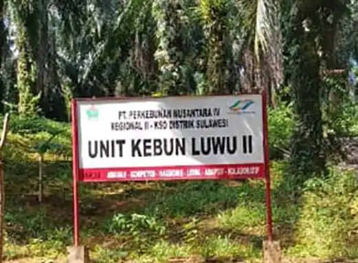 Lahan PT Perkebunan Nusantara IV (PTPN IV Reg 2) (Foto: Dok MI/Istimewa)