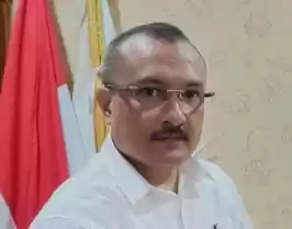 Direktur Eksekutif Energy Watch Indonesia (EWI) Ferdinand Hutahaean (Foto: Istimewa)