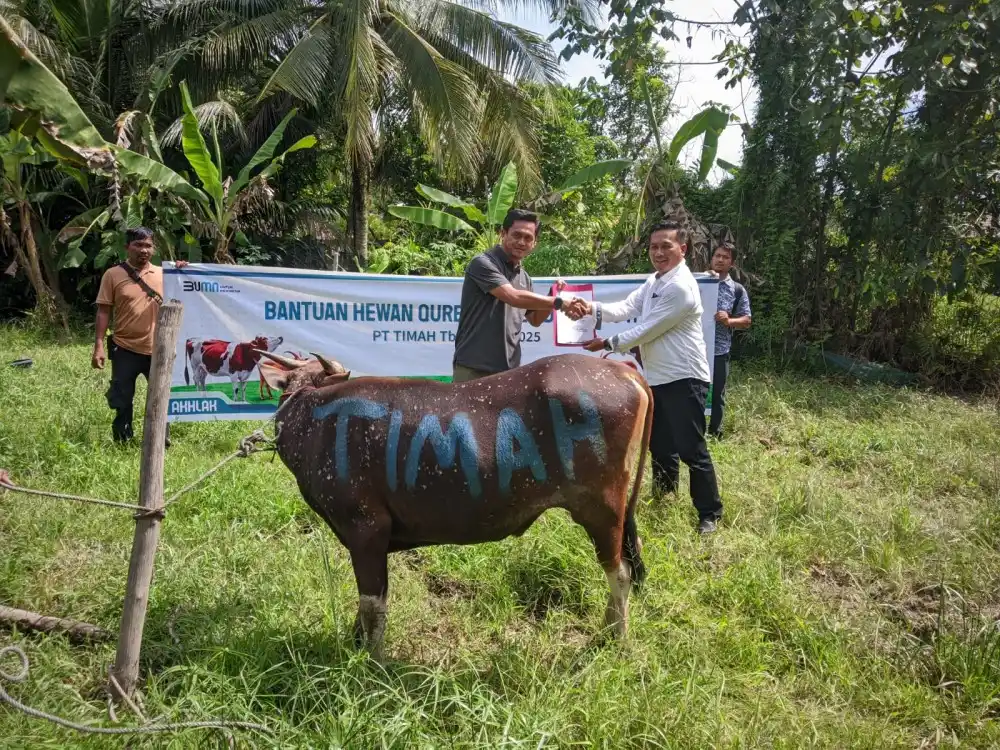 PT Timah Distribusikan Hewan Kurban ke Pulau dan Desa Terpencil [Foto: Doc. PT Timah]