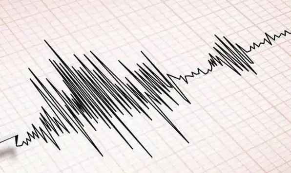 Illustrasi (Foto: Ist)