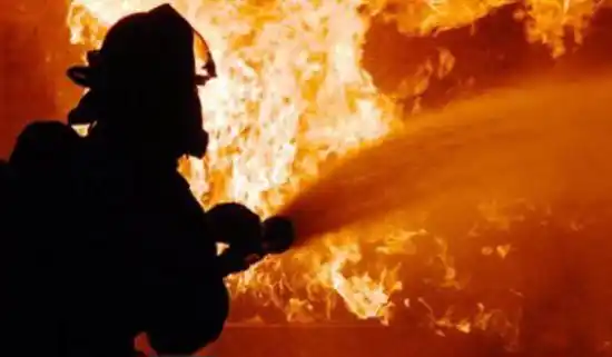 Ilustrasi (Foto: Ist)