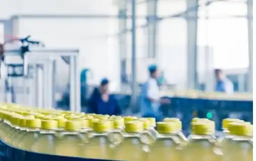 Ilustrasi (Foto: Ist)