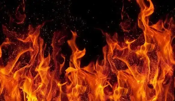 Ilustrasi (Foto: Ist)