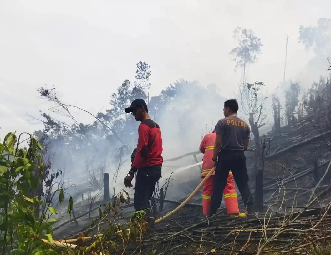 Ilustrasi. Modifikasi Cuaca Digelar di Riau hingga Kalbar untuk Percepat Penanganan Karhutla (Foto: Ist)