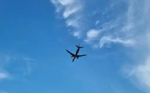 Ilustrasi (Foto: Ist)