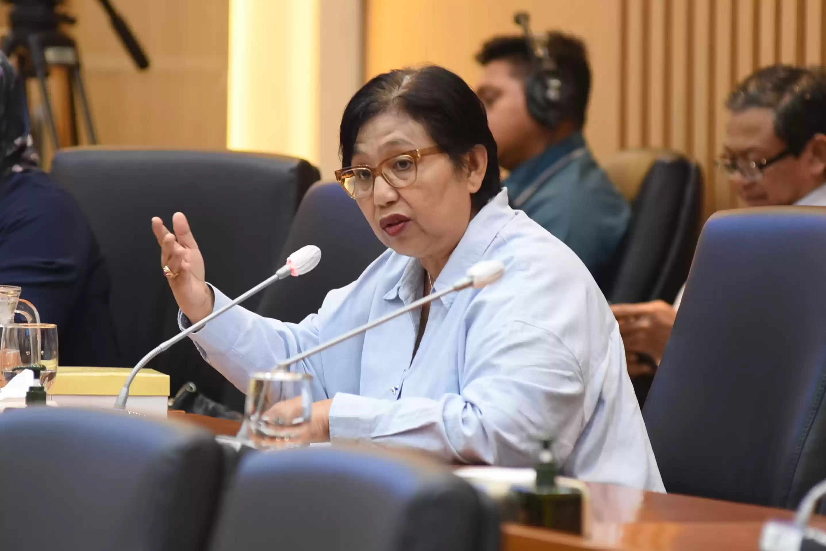 Anggota Komisi IX DPR RI, Irma Suryani
