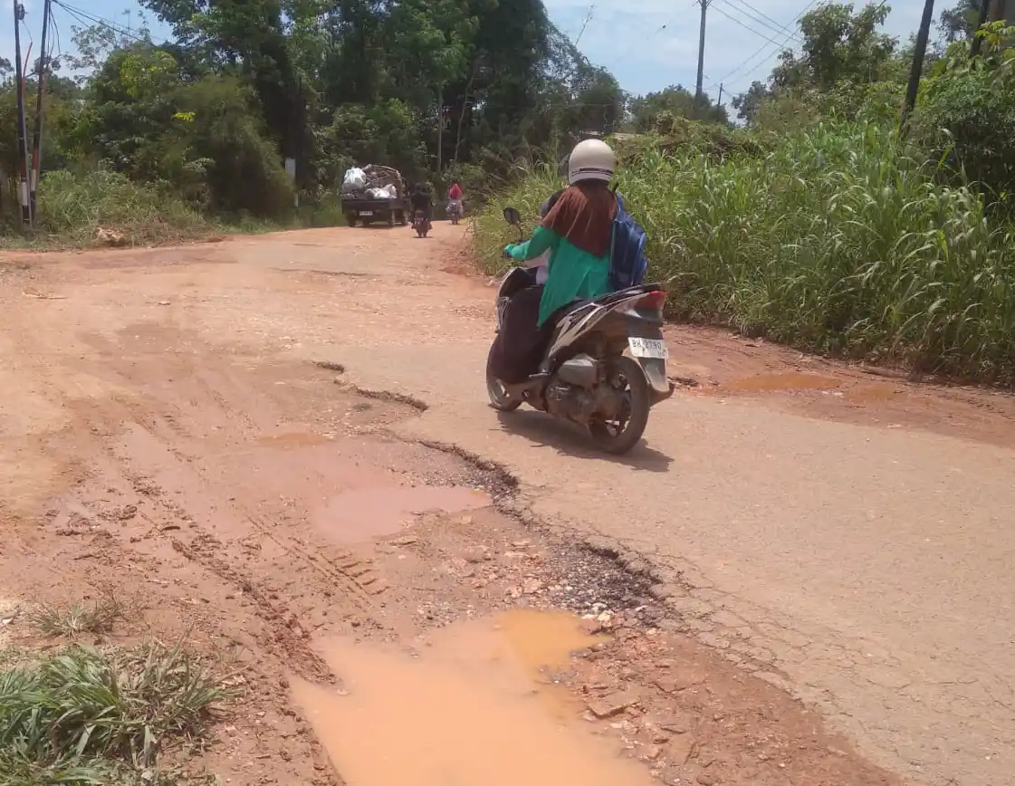Kondisi kerusakan jalan ke sentra produksi Desa Kebun IV, Kecamatan Sungaigelam, Kabupaten Muarojambi, Provinsi Jambi. Gambar diambil Senin (25/8/2025). (Foto : MI/Radesman Saragih).