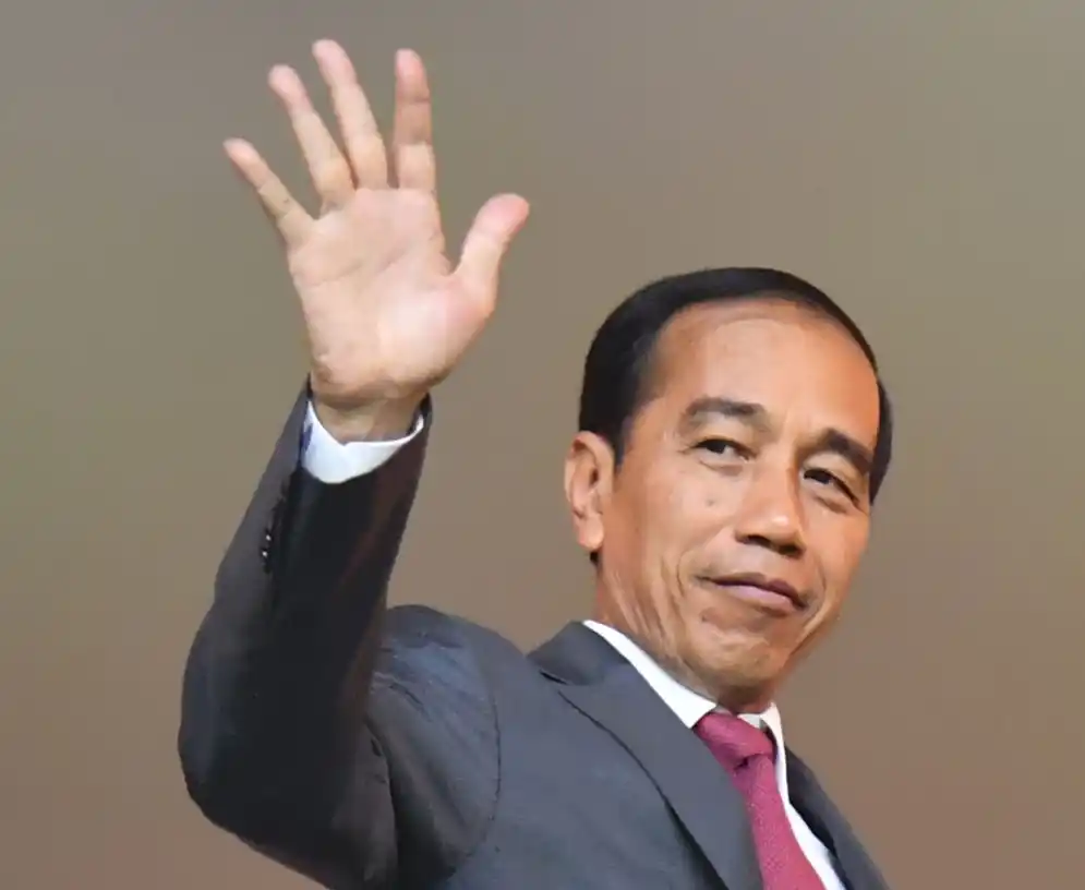 Jokowi (Foto: Istimewa)