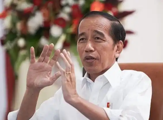 Jokowi (Foto: Dok MI/Istimewa)