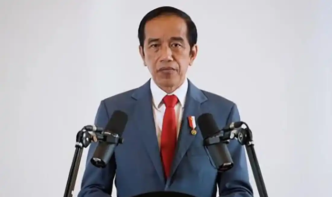 Presiden Ke-7 Republik Indonesia. (Dok Istimewa)