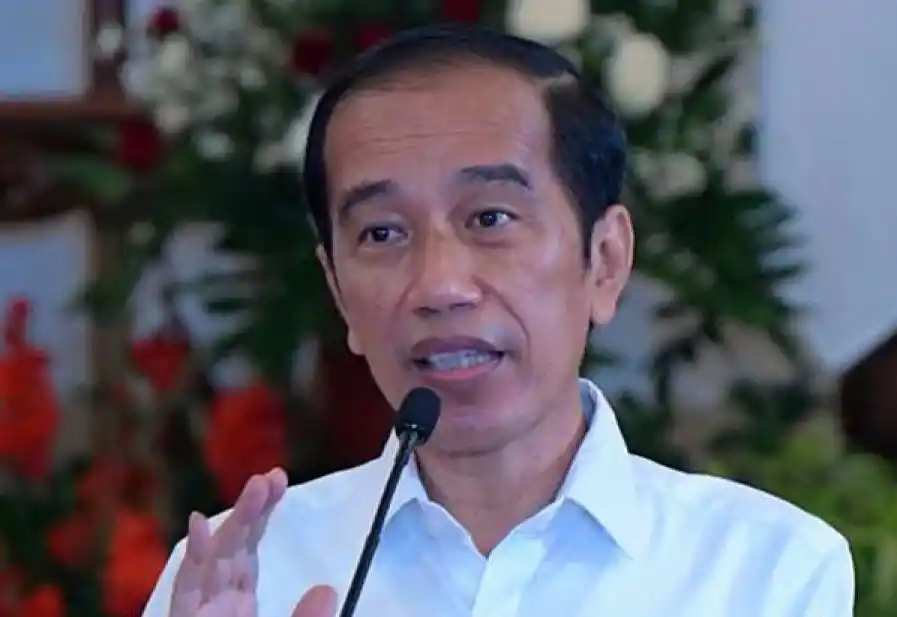 Joko Widodo alias Jokowi (Foto: Dok MI/Ant)