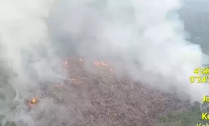 Ilustrasi - karhutla