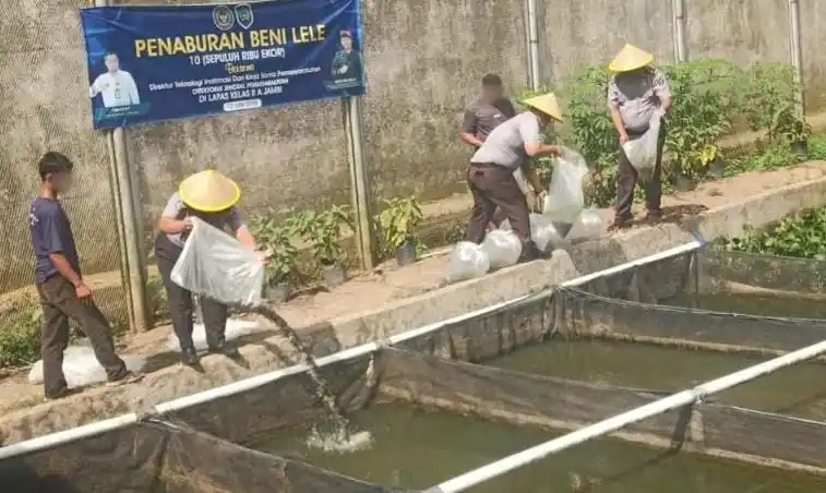 Kasi Giatja bersama jajaran dan WBP saat melakukan penaburan benih lele di area kolam Lapas Kelas IIA Jambi, Selasa (1/7). (Foto: Dok/MI)
