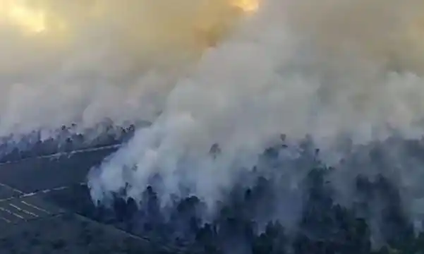 Kebakaran hutan dan lahan (karhutla) di Provinsi Riau (Foto: Ist)