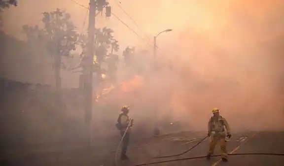 Kebakaran Hutan di Los Angeles [Foto: Ist]