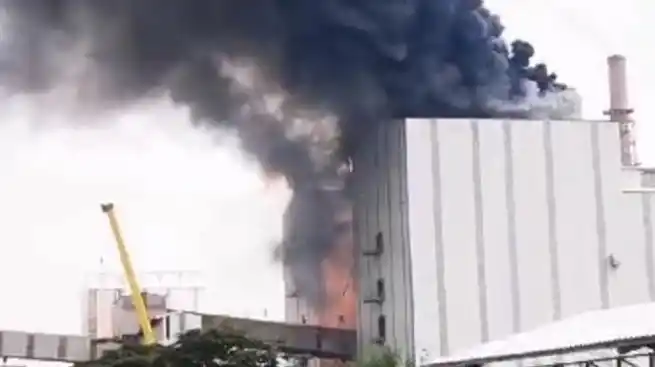 Kebakaran Pabrik NPK milik Petrokimia Gresik (Foto: Ist)