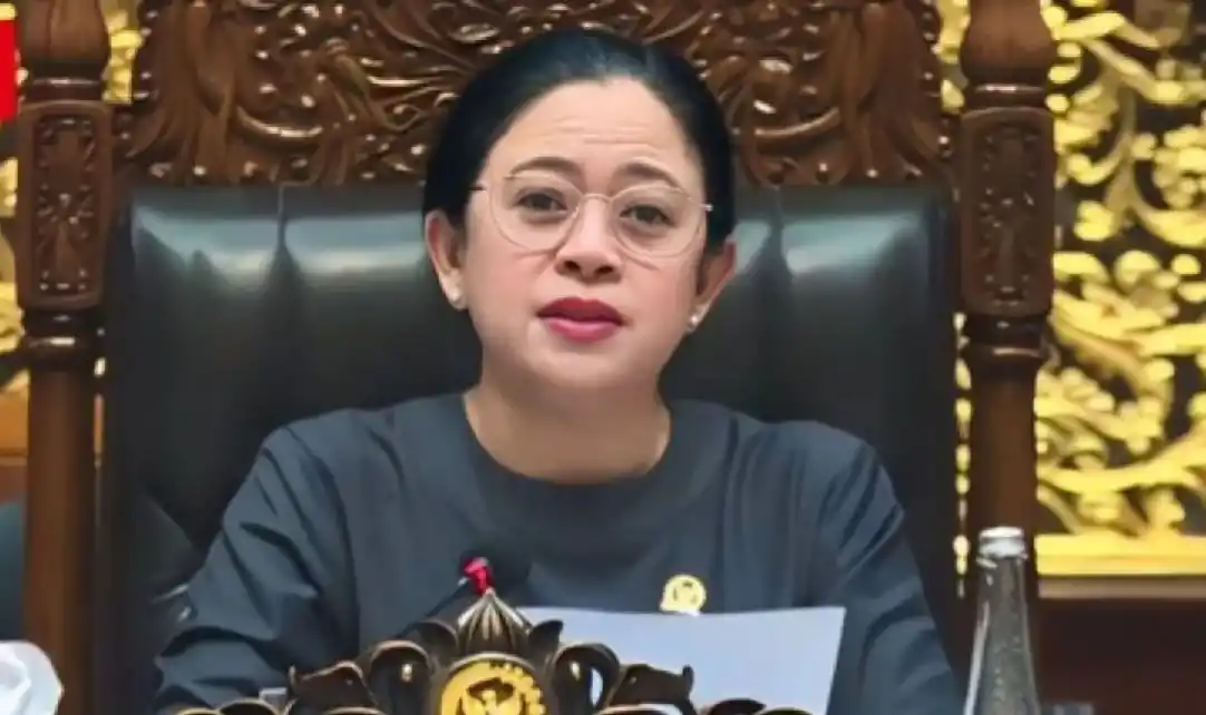 Ketua DPR RI, Puan Maharani (Foto: Ist)