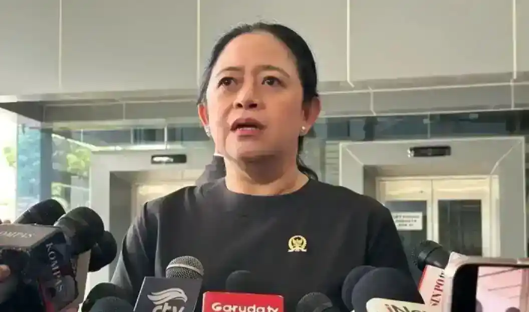 Ketua DPR RI Puan Maharani (Foto: Istimewa)