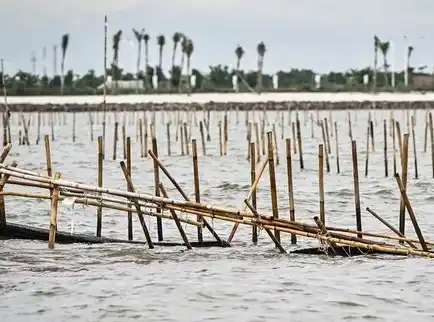 Pagar laut di perairan Tangerang (Foto: Dok MI/Aswan)