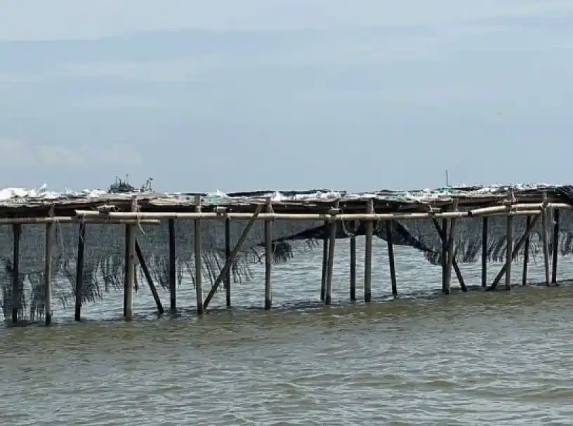Pagar dari bambu sepanjang 30,16 kilometer di wilayah perairan Kabupaten Tangerang, Banten diduga milik Agung Sedayu sebelum dibongkar (Foto: Dok MI/Aswan)