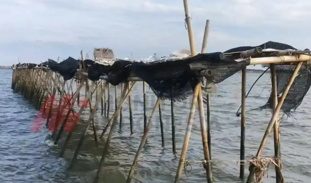 Pagar dari bambu sepanjang 30,16 kilometer di wilayah perairan Kabupaten Tangerang, Banten diduga milik Agung Sedayu (Foto: Dok MI/Aswan)