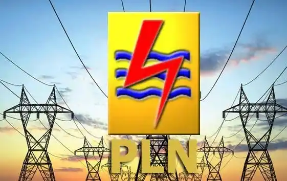 Ilustrasi - PT Perusahaan Listrik Negara (PLN) (Foto: Dok MI/Ist)