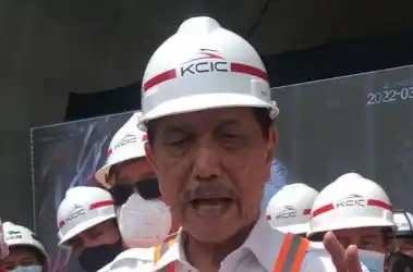 Luhut Binsar Pandjaitan (Foto: Dok MI/Ist)