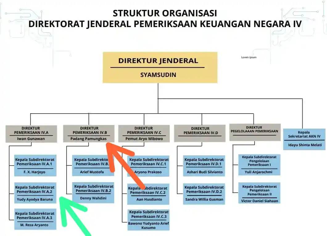 Struktur Organisasi Direktorat Jenderal Pemeriksaan Keuangan Negara IV BPK RI (Foto: Dok MI/BPK RI)