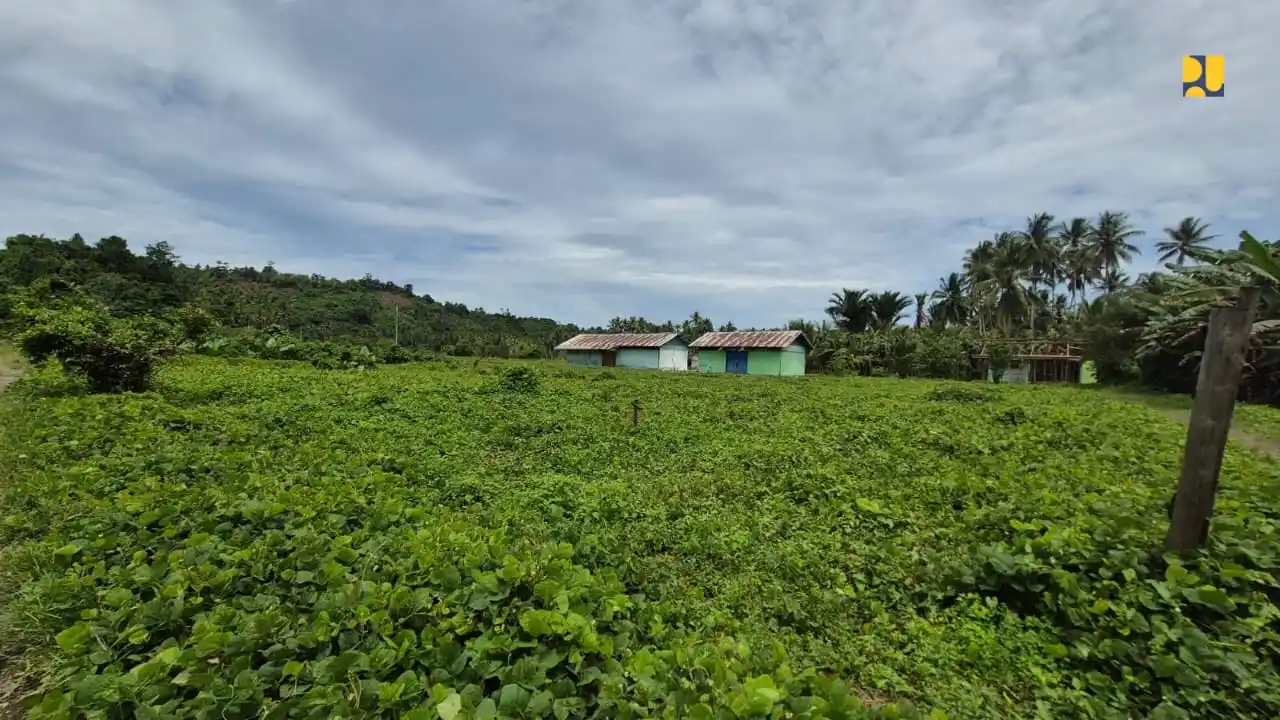 Kementerian Pekerjaan Umum (PU) tengah menyiapkan Sekolah Rakyat (SR) di Desa Rioribati, Kecamatan Jailolo Selatan, Kabupaten Halmahera Barat, Provinsi Maluku Utara. (Foto: Dok/Mi/PU)