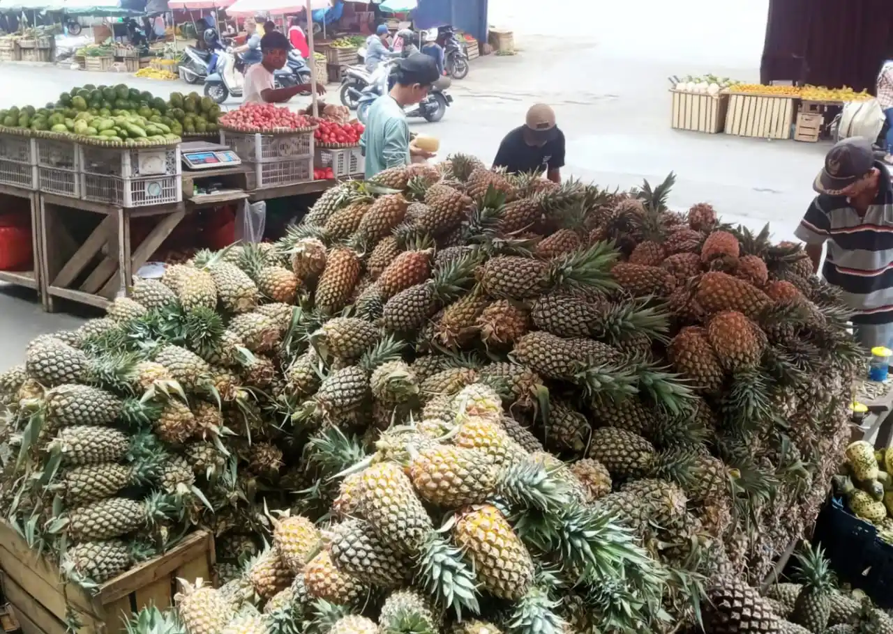 Buah Nanas [Foto: Doc. BRI]