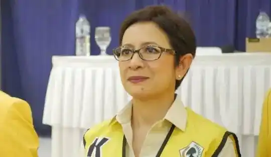 Anggota Komisi I DPR RI, Nurul Arifin