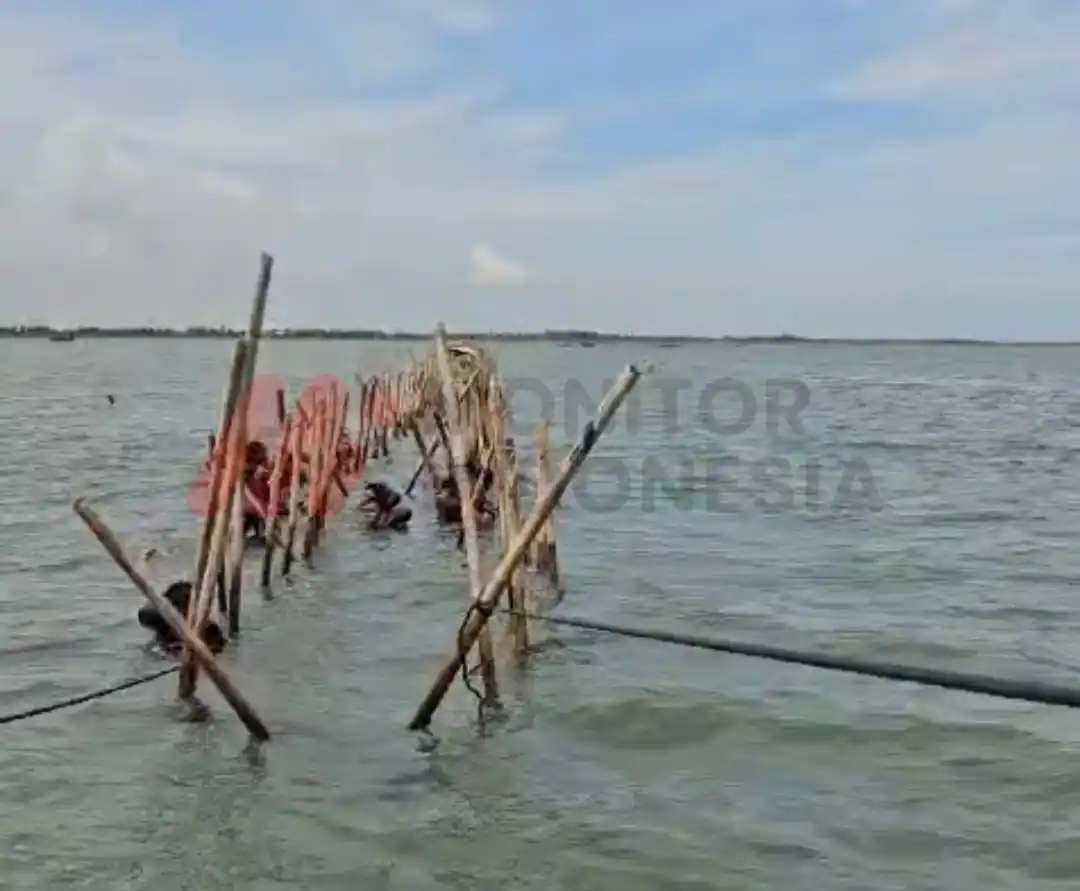 Proses pembongkaran pagar laut (Foto: Dok MI/Aswan)