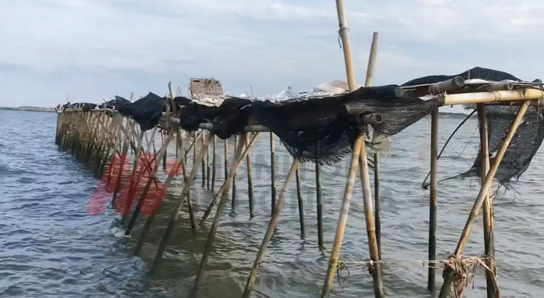 Pagar dari bambu sepanjang 30,16 kilometer di wilayah perairan Kabupaten Tangerang, Banten diduga milik Agung Sedayu (Foto: Dok MI/Aswan)