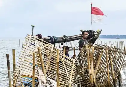 Pembongkaran pagar laut (Foto: Dok MI)