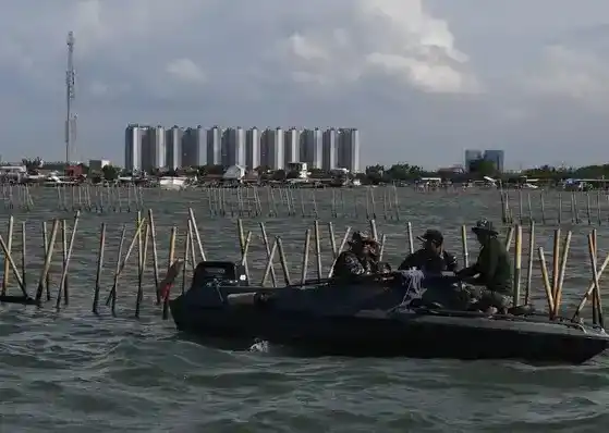 Pagar laut Tangerang (foto: MI)