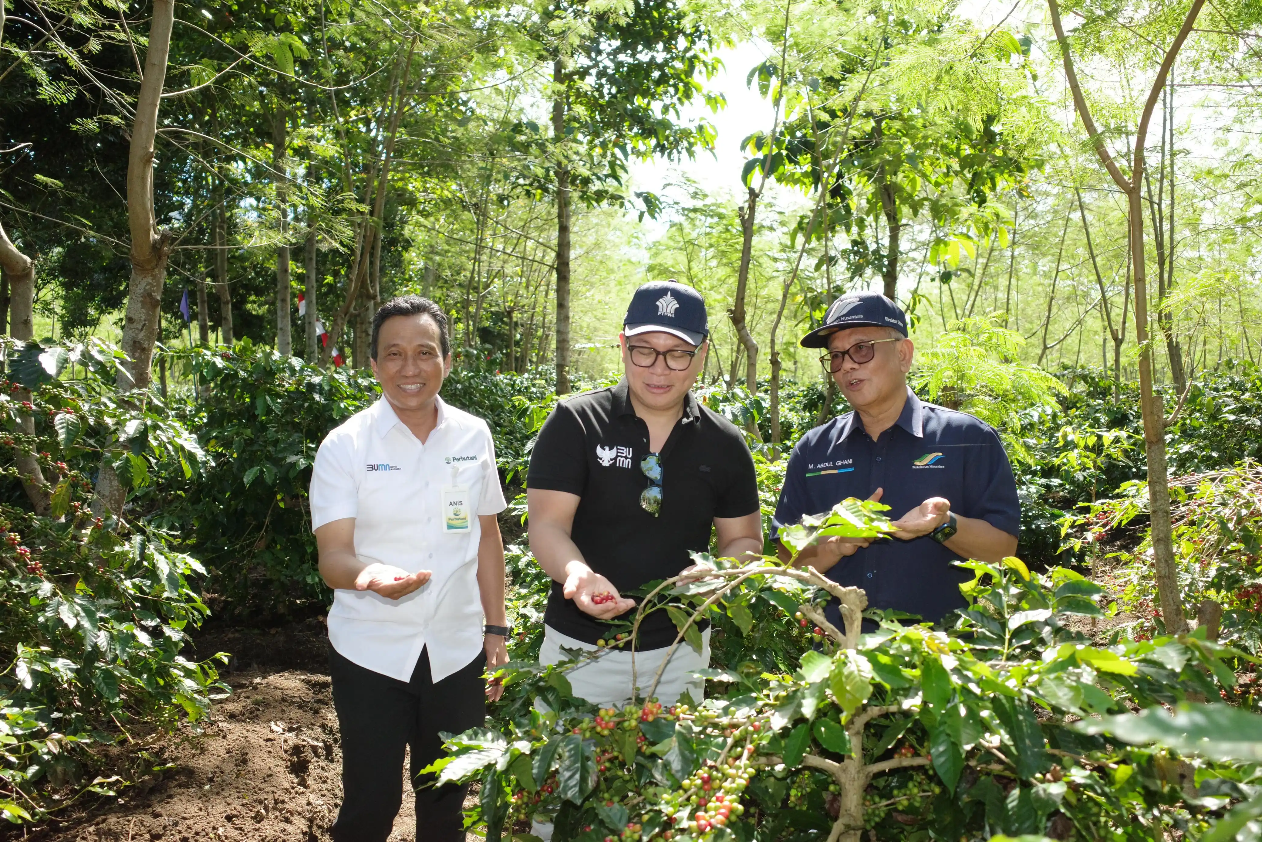 Wakil Menteri BUMN RI Kartika Wirjoatmodjo saat meninjau kebun Kopi Jawa di kawasan Ijen, Jawa Timur. Kebun dan pabrik kopi yang dikelola secara KSO oleh sub holding PTPN III (Persero), PalmCo dan SupportingCo itu terbukti mampu menjalankan program turn around melalui peningkatan produktivitas dan kinerja pemasaran serta finansial selama 3 tahun berturut-turut.