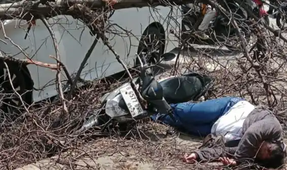 Seorang pengendara sepeda motor terluka parah akibat tertimpa pohon tumbang di Jalan Pesanggrahan, Meruya, Kembangan, Jakarta Barat, Jumat (21/3/2025). [Foto: Ant]