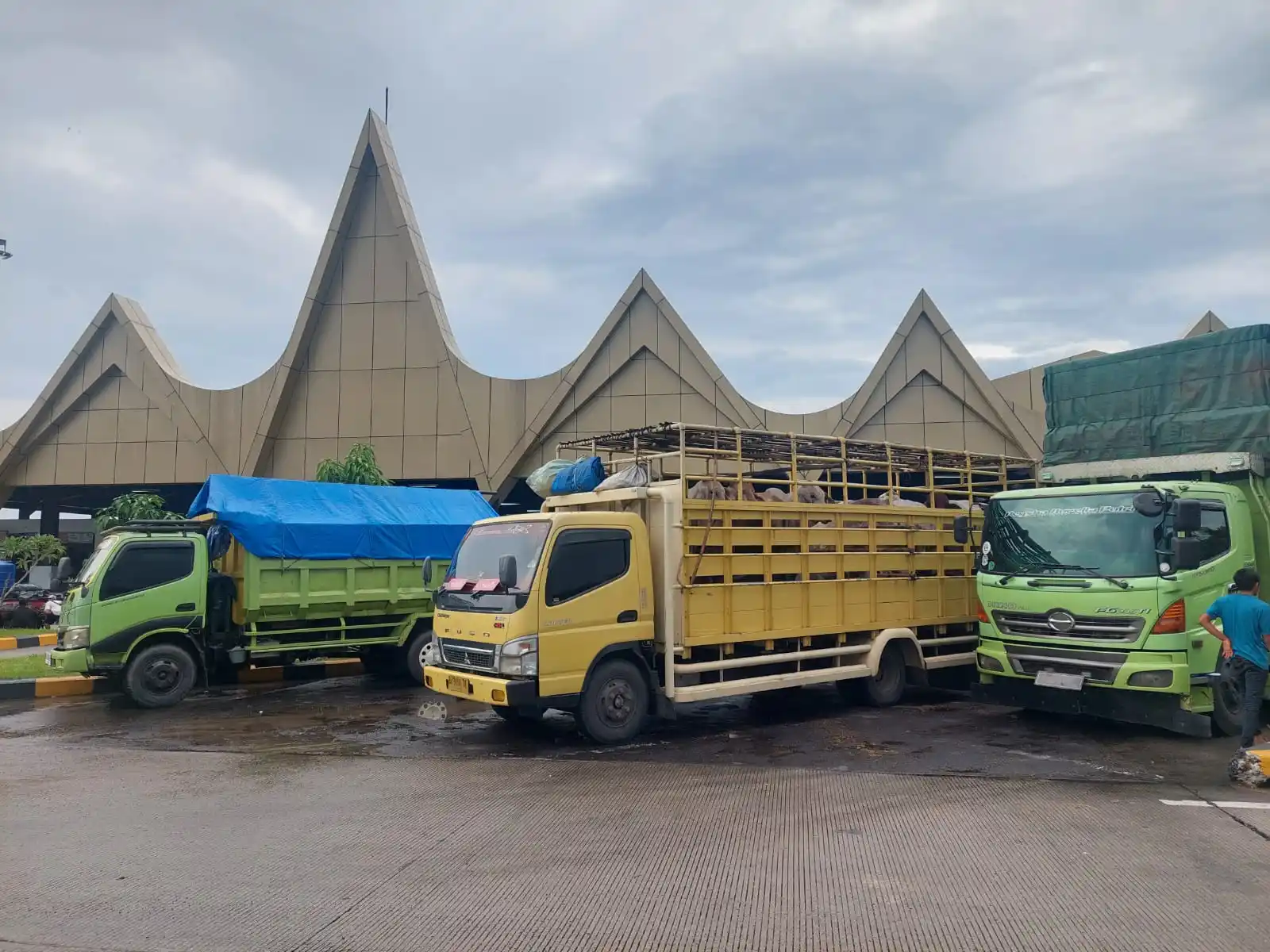 Persoalan keselamatan dan kesejahteraan pengemudi truk bermuatan Over Dimension Over Loading (ODOL) kembali menjadi sorotan. Data terbaru menunjukkan bahwa 60 persen pengemudi truk ODOL pernah mengalami kecelakaan lalu lintas, dengan faktor utama disebabkan oleh rem blong.